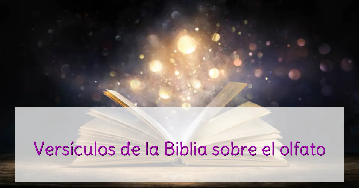 Versículos de la Biblia sobre el olfato