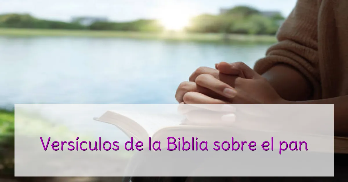 Versículos de la Biblia sobre el pan