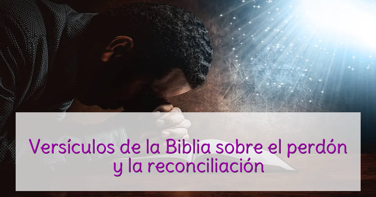 Versículos de la Biblia sobre el perdón y la reconciliación