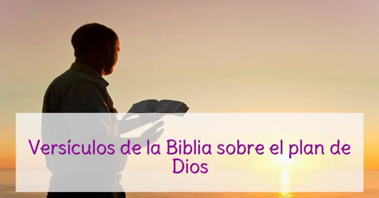 Versículos de la Biblia sobre el plan de Dios