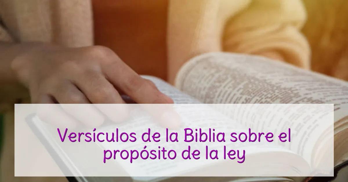 Versículos de la Biblia sobre el propósito de la ley