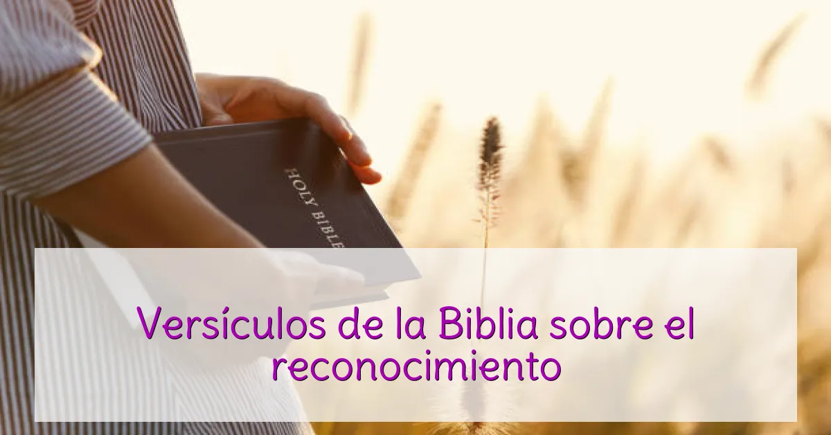 Versículos de la Biblia sobre el reconocimiento