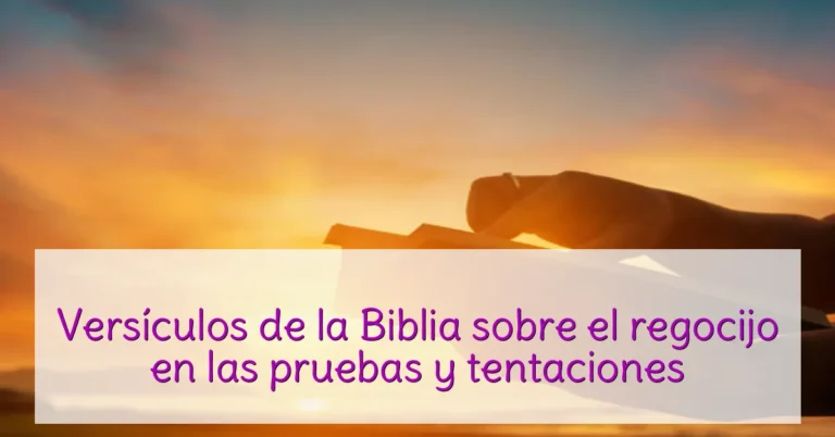 Versículos de la Biblia sobre el regocijo en las pruebas y tentaciones