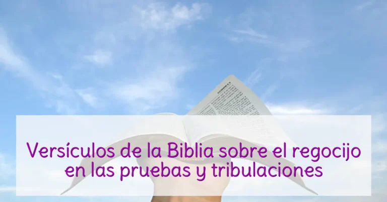 Versículos de la Biblia sobre el regocijo en las pruebas y tribulaciones