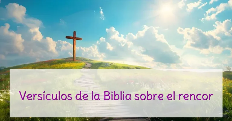 Versículos de la Biblia sobre el rencor