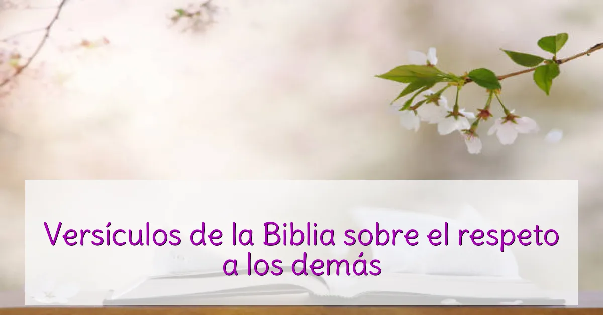 Versículos de la Biblia sobre el respeto a los demás