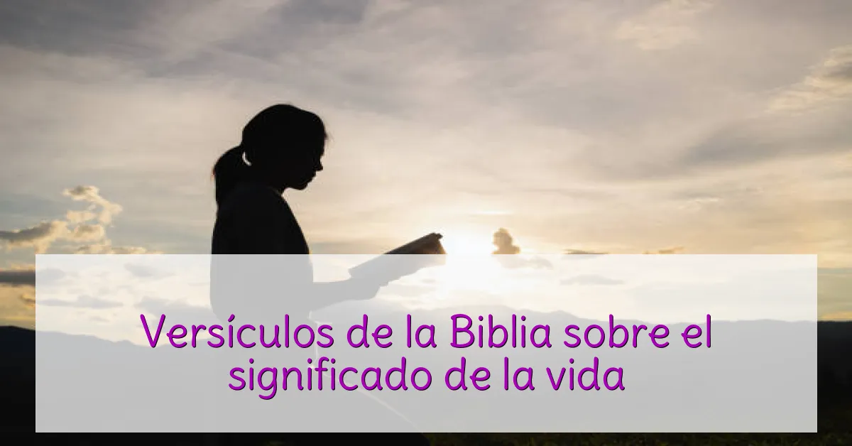 Versículos de la Biblia sobre el significado de la vida