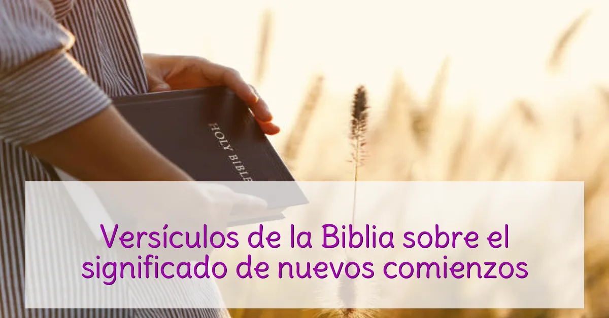 Versículos de la Biblia sobre el significado de nuevos comienzos