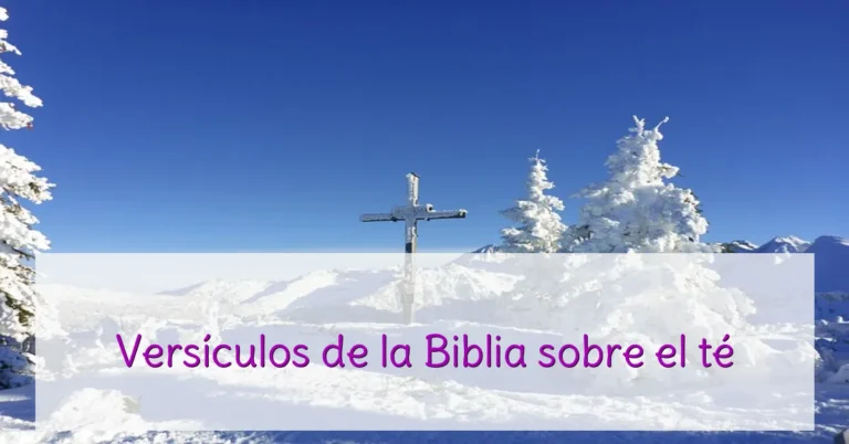 Versículos de la Biblia sobre el té