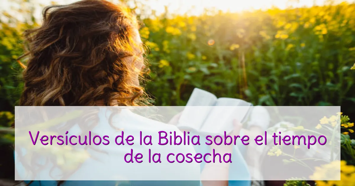 Versículos de la Biblia sobre el tiempo de la cosecha