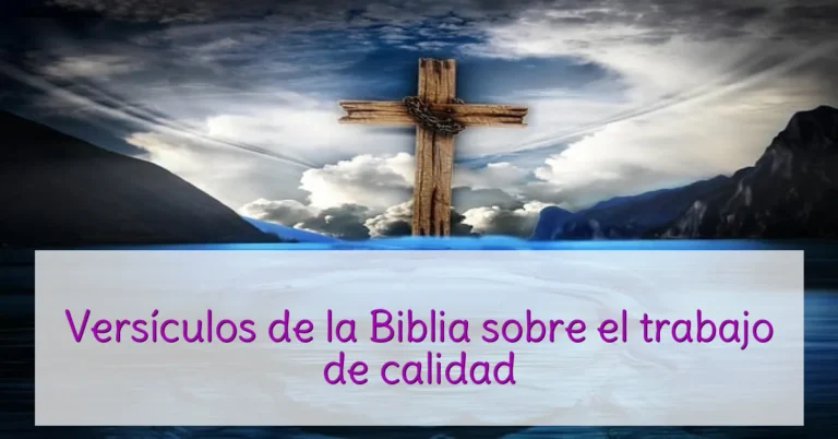 Versículos de la Biblia sobre el trabajo de calidad
