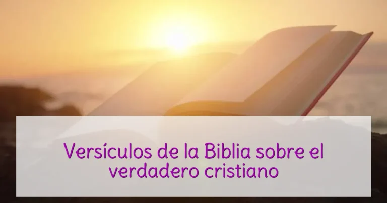 Versículos de la Biblia sobre el verdadero cristiano