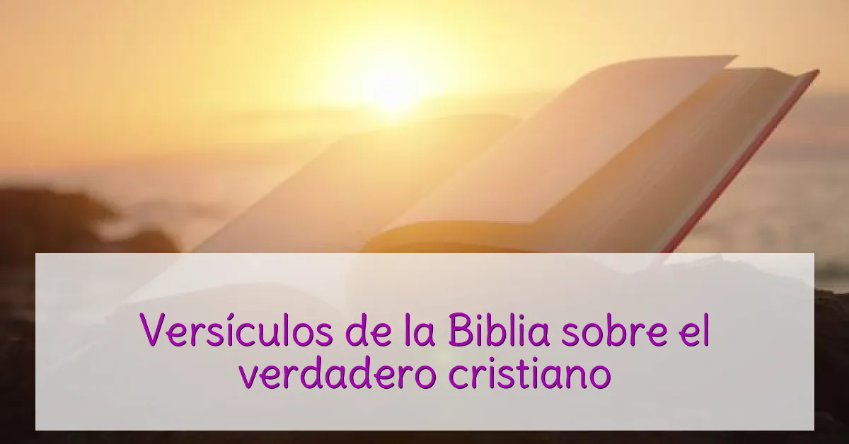 Versículos de la Biblia sobre el verdadero cristiano