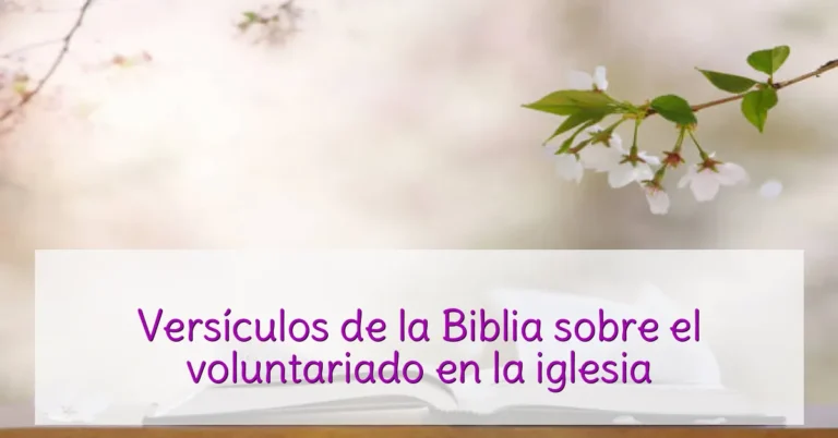 Versículos de la Biblia sobre el voluntariado en la iglesia