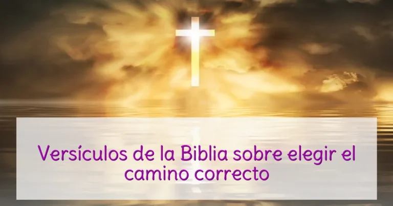 Versículos de la Biblia sobre elegir el camino correcto