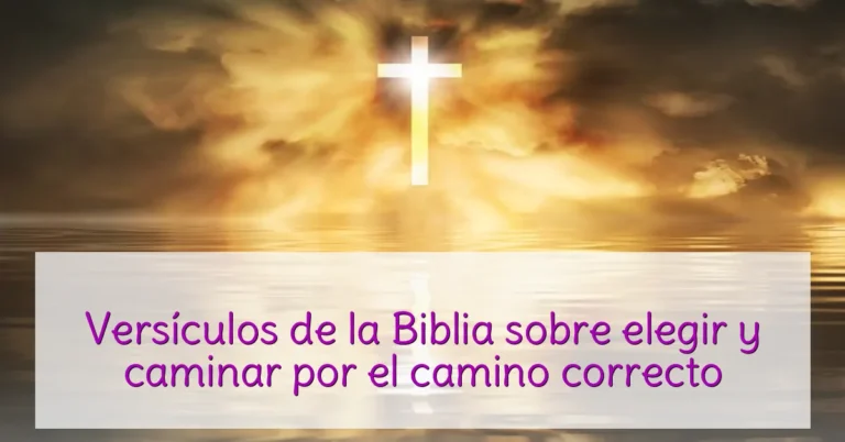 Versículos de la Biblia sobre elegir y caminar por el camino correcto