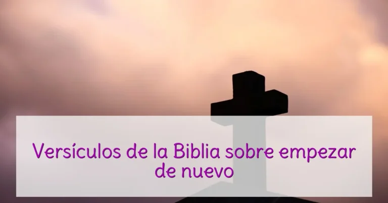 Versículos de la Biblia sobre empezar de nuevo