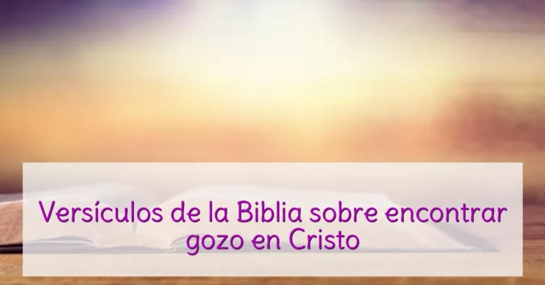 Versículos de la Biblia sobre encontrar gozo en Cristo
