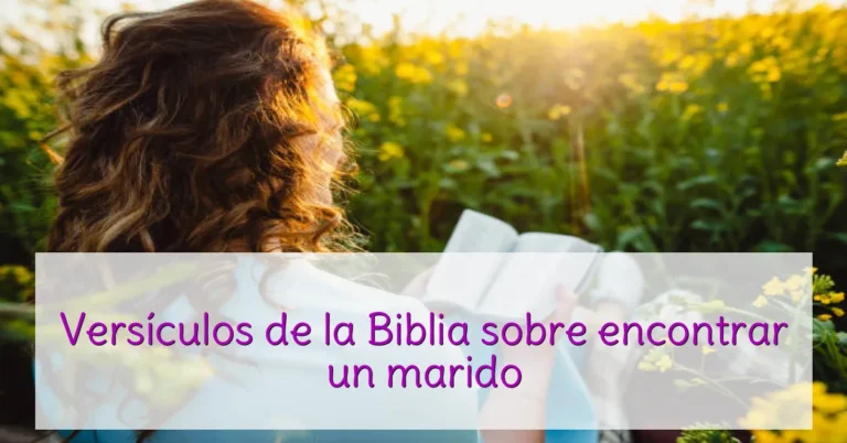 Versículos de la Biblia sobre encontrar un marido