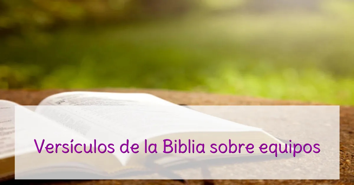 Versículos de la Biblia sobre equipos