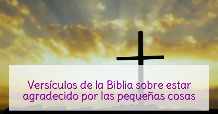 Versículos de la Biblia sobre estar agradecido por las pequeñas cosas