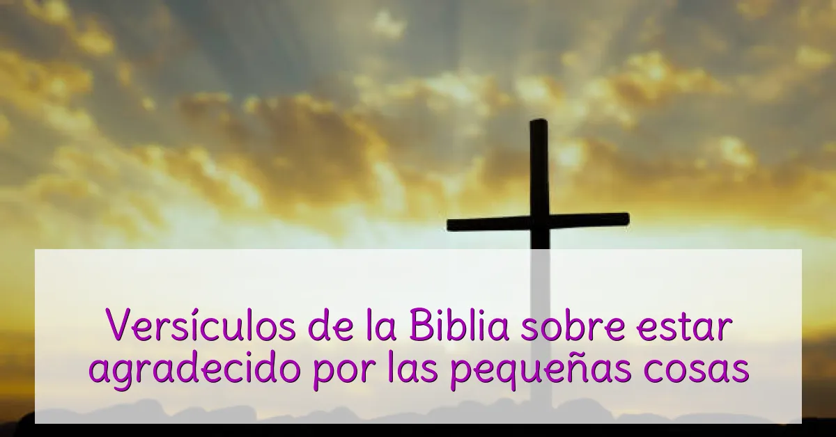 Versículos de la Biblia sobre estar agradecido por las pequeñas cosas