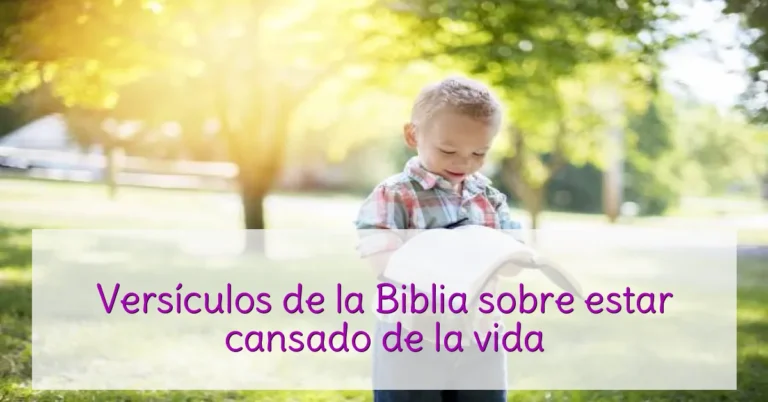 Versículos de la Biblia sobre estar cansado de la vida