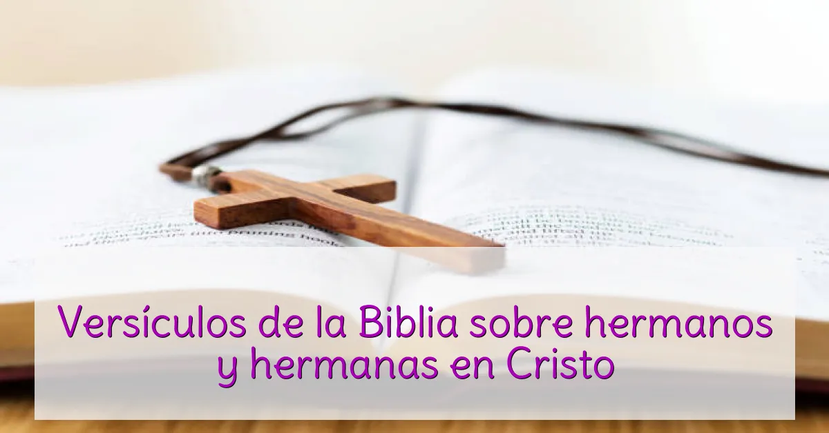 Versículos de la Biblia sobre hermanos y hermanas en Cristo