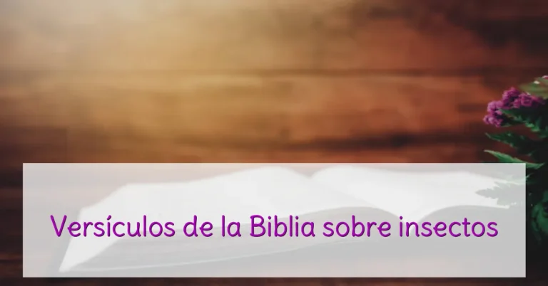 Versículos de la Biblia sobre insectos