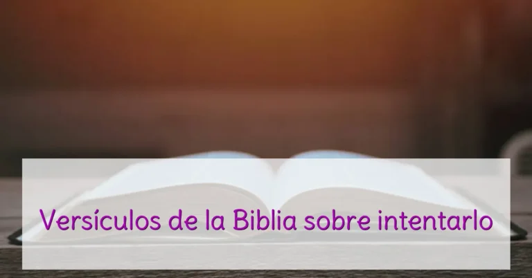 Versículos de la Biblia sobre intentarlo