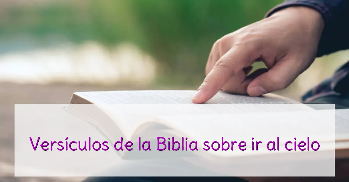 Versículos de la Biblia sobre ir al cielo