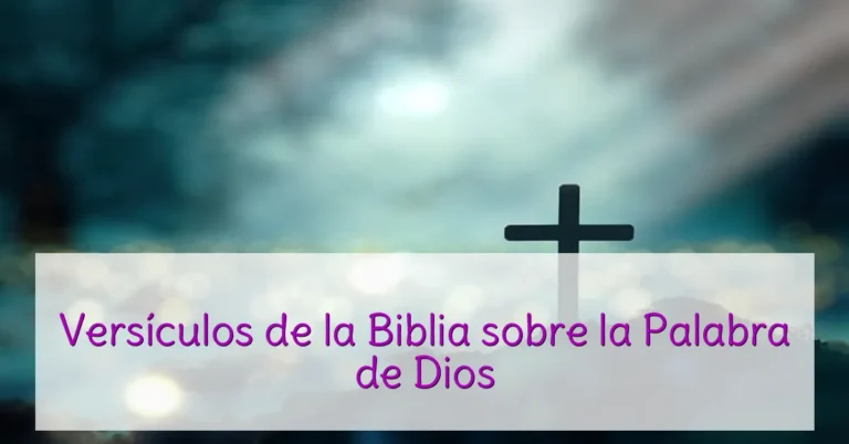 Versículos de la Biblia sobre la Palabra de Dios