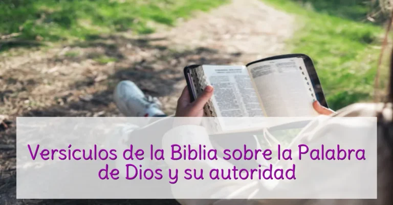 Versículos de la Biblia sobre la Palabra de Dios y su autoridad