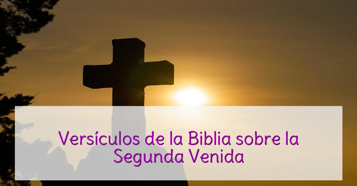 Versículos de la Biblia sobre la Segunda Venida