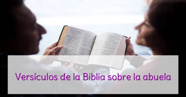 Versículos de la Biblia sobre la abuela