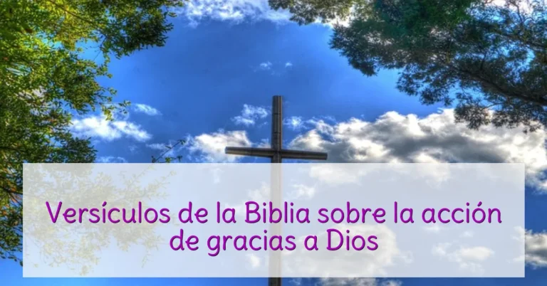 Versículos de la Biblia sobre la acción de gracias a Dios