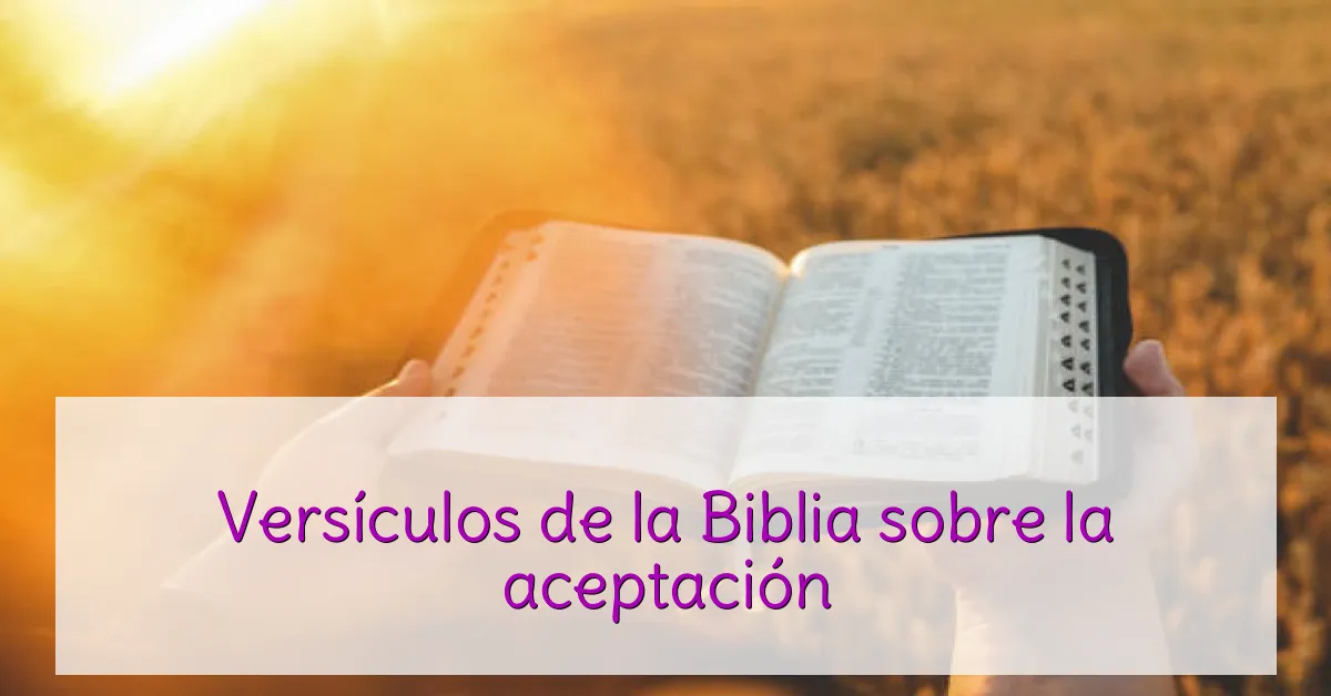Versículos de la Biblia sobre la aceptación