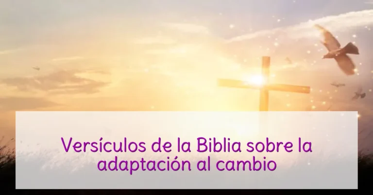 Versículos de la Biblia sobre la adaptación al cambio