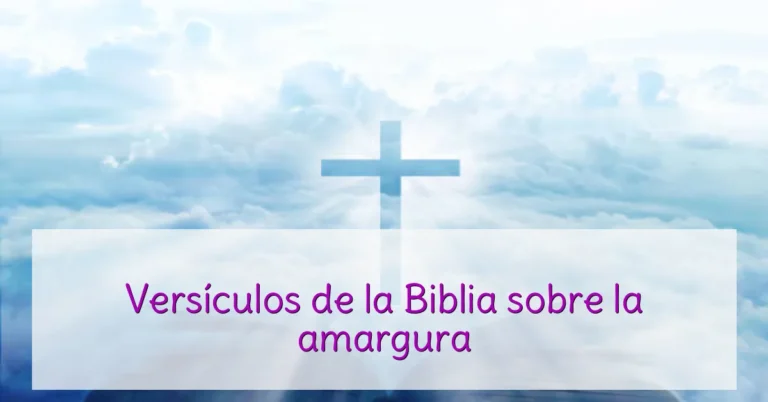 Versículos de la Biblia sobre la amargura