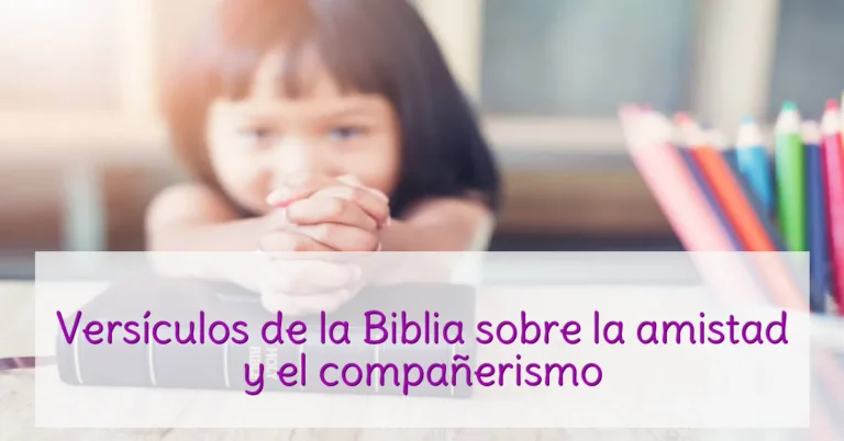 Versículos de la Biblia sobre la amistad y el compañerismo