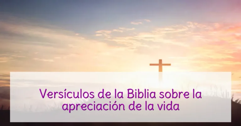Versículos de la Biblia sobre la apreciación de la vida