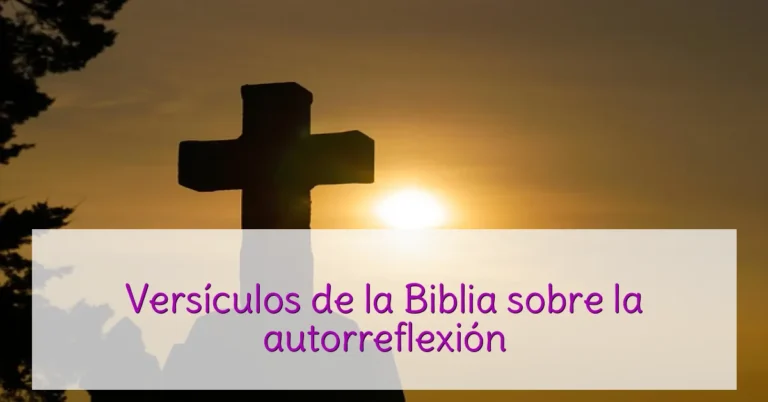 Versículos de la Biblia sobre la autorreflexión
