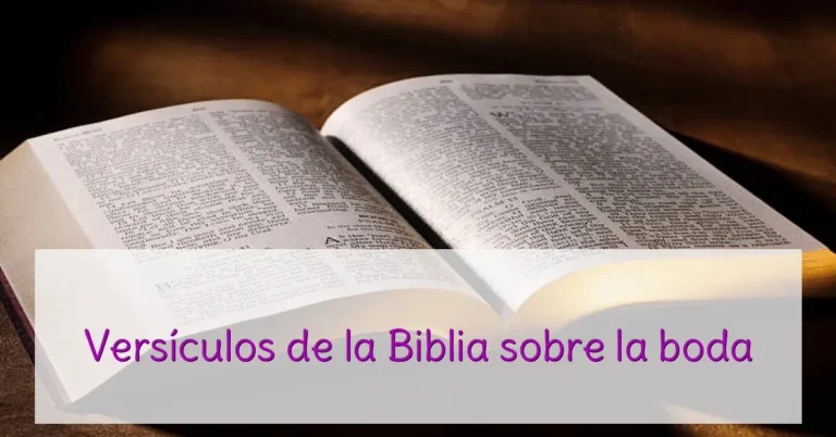 Versículos de la Biblia sobre la boda