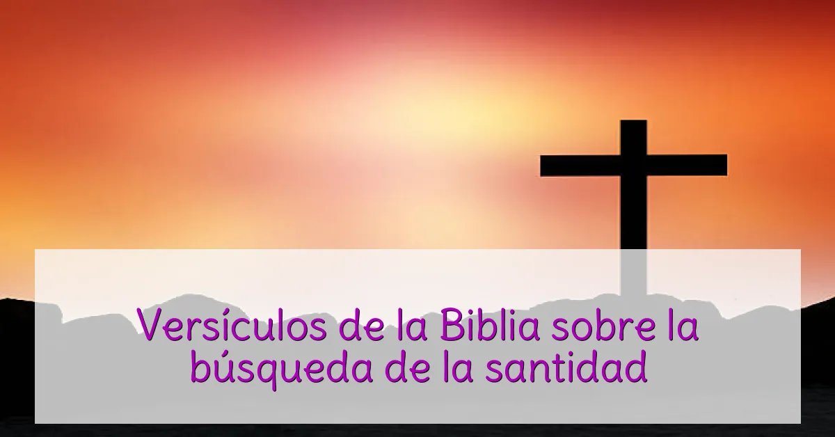 Versículos de la Biblia sobre la búsqueda de la santidad