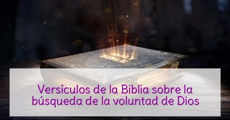Versículos de la Biblia sobre la búsqueda de la voluntad de Dios