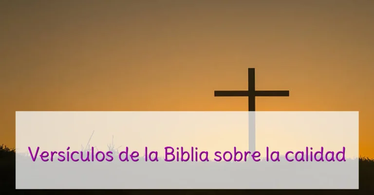 Versículos de la Biblia sobre la calidad