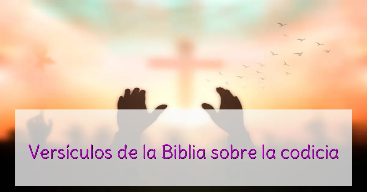 Versículos de la Biblia sobre la codicia