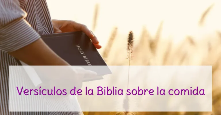 Versículos de la Biblia sobre la comida