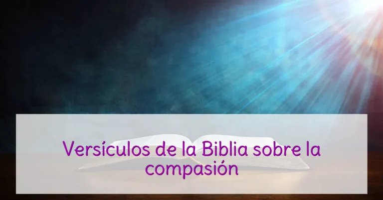Versículos de la Biblia sobre la compasión