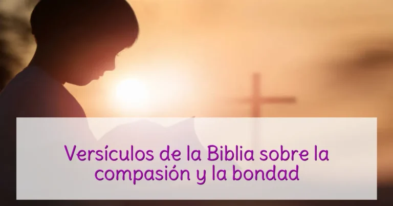 Versículos de la Biblia sobre la compasión y la bondad